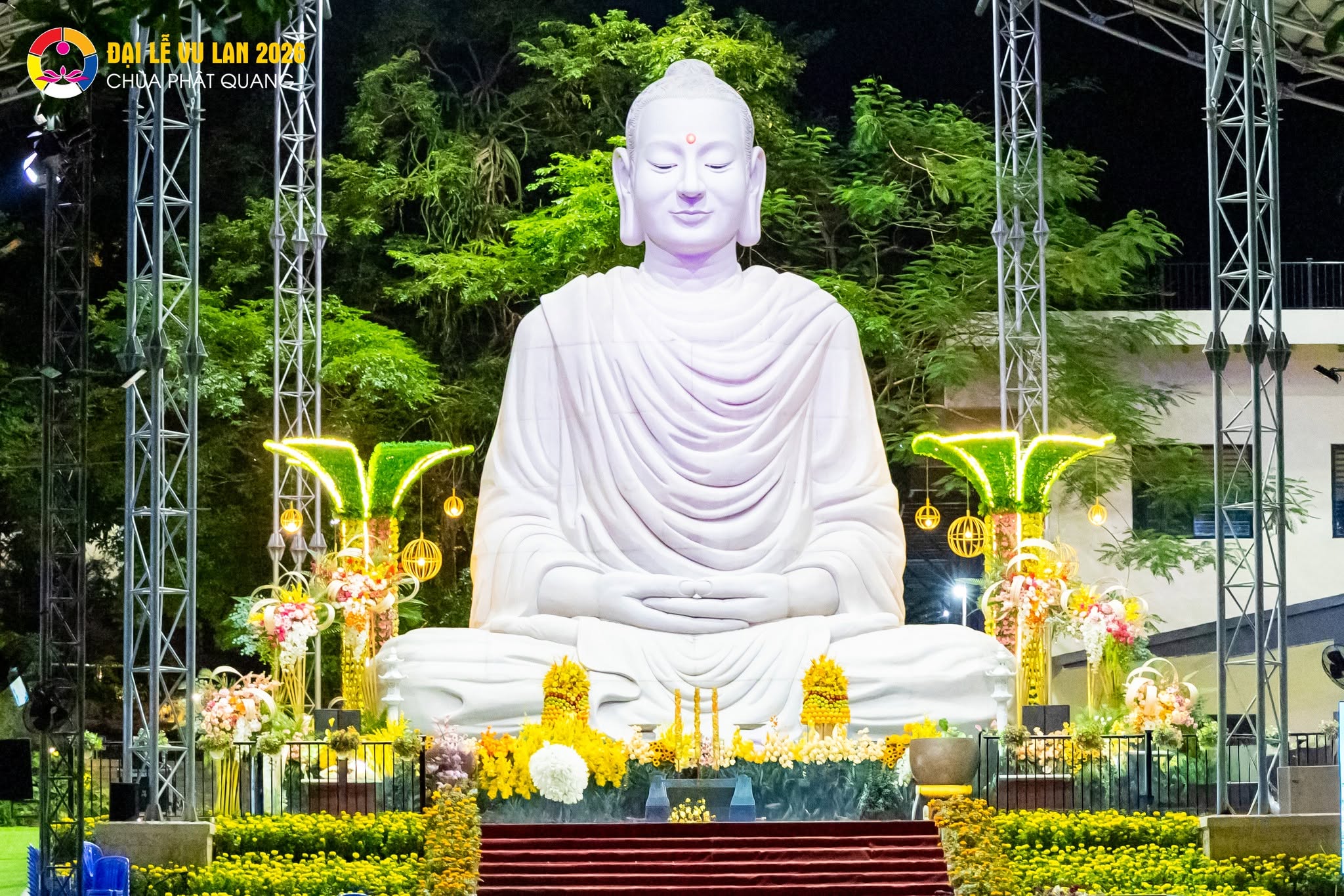 Ảnh 16